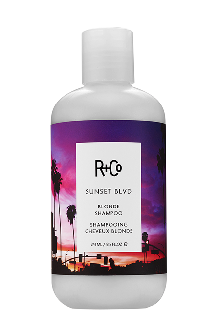 R+Co Sunset Blvd Shampoo